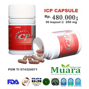 beli obat jantung koroner icp capsule di Lubuklinggau, agen icp capsule Lubuklinggau, harga icp capsule di Lubuklinggau, icp capsule, tasly icp, icp kapsul, obat jantung koroner