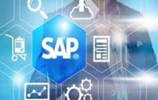 SAP Consulting Companies in Pune