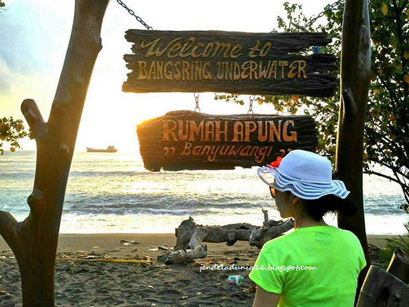 [http://FindWisata.blogspot.com] Bangsring Underwater, Mengeksplor Keindahan Panorama Alam Bawah Laut