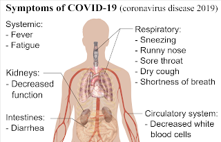 CONVID-19, Nama Baru Virus Corona Dari WHO