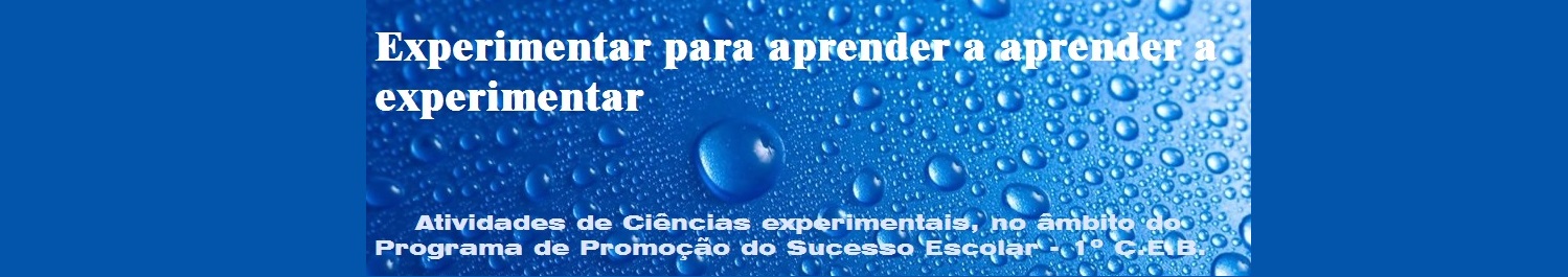 Experimentar para aprender a aprender a experimentar