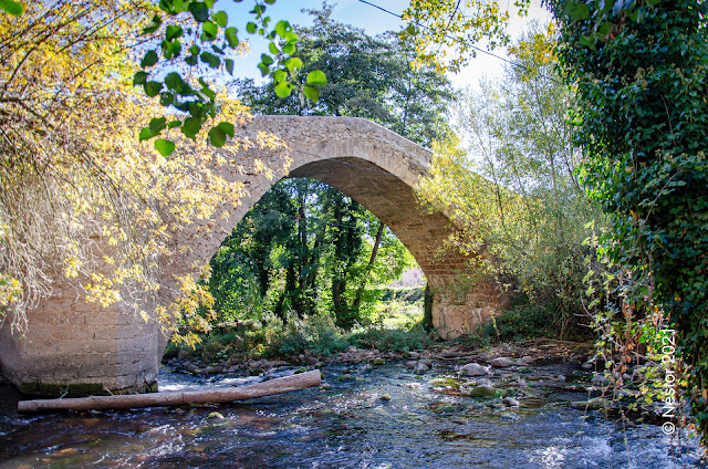 Viguera. Puente Medieval