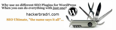 SEO Ultimate WordPress Plugin Free Download Full hackerbradri.com