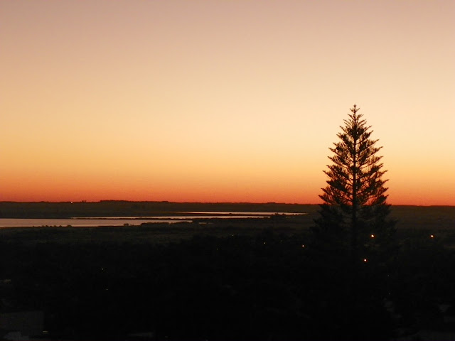 O sol se põe no horizonte e o céu vai ganhando tons alaranjados. A foto foi captada na sacada do décimo andar do prédio Sindicato rural. Uma árvore está na frente da imagem que tem como fundo o rio Uruguai.