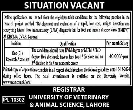 New University of Veterinary and Animal Science Jobs in Lahore November 2024 Advertisement