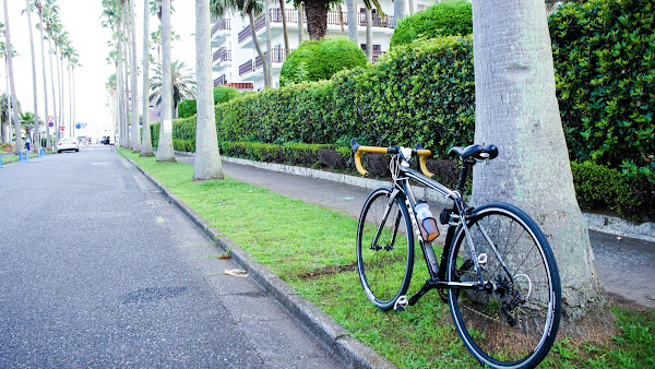 自転車 江ノ島ライド Trek Madone