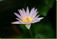 clip_image049