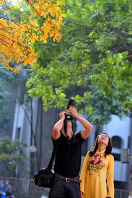 Loc Vung burst yellow leaves welcome new spring