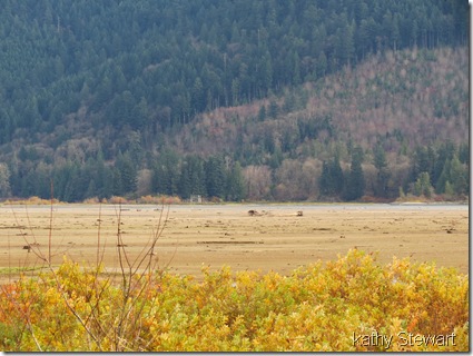 Barren flats