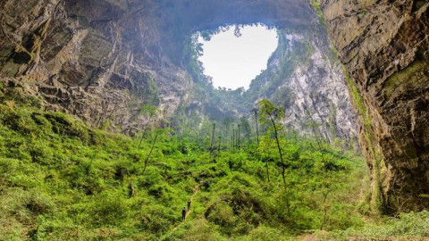 Hang Son Doong garden in cave