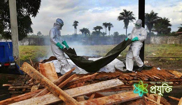Ebola Virus এর ব্যাপারে কিছু ভুল ধারণা ও সঠিক তথ্য 