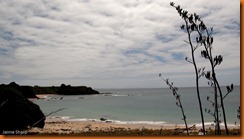 DSC00154