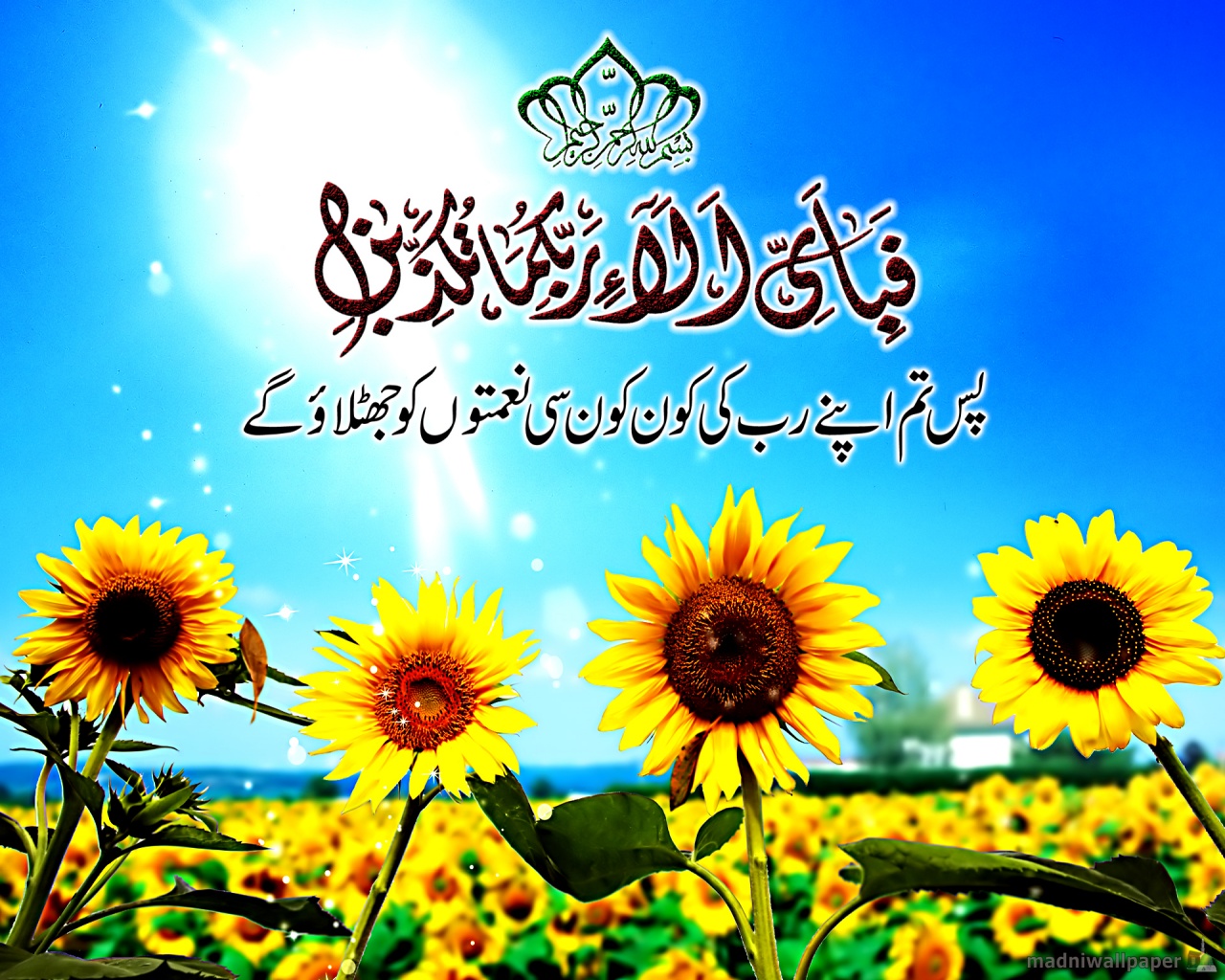 Download Ayat Kursi Ayatul Calligraphy Wallpaper - LoadPaper.com ...