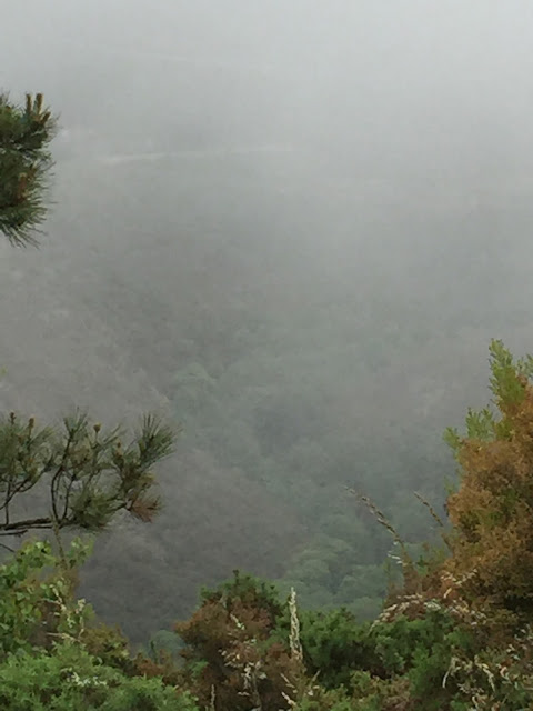 Spain, Marronda forest and the Eo River   by E.V.Pita (2015)  http://evpita.blogspot.com/2015/06/spain-marronda-forest-and-eo-river.html   Fraga de Marronda - río Eo (Baleira, Lugo)  por E.V.Pita (2015)