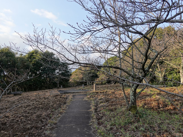 清水展望台(清水公園)