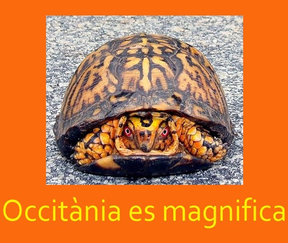 Occitània es magnifica