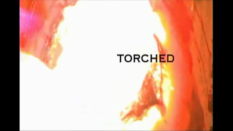 Torched (2003)