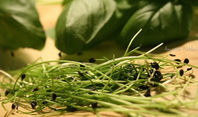 fresh garlic chives and fresh basil on a cutting board