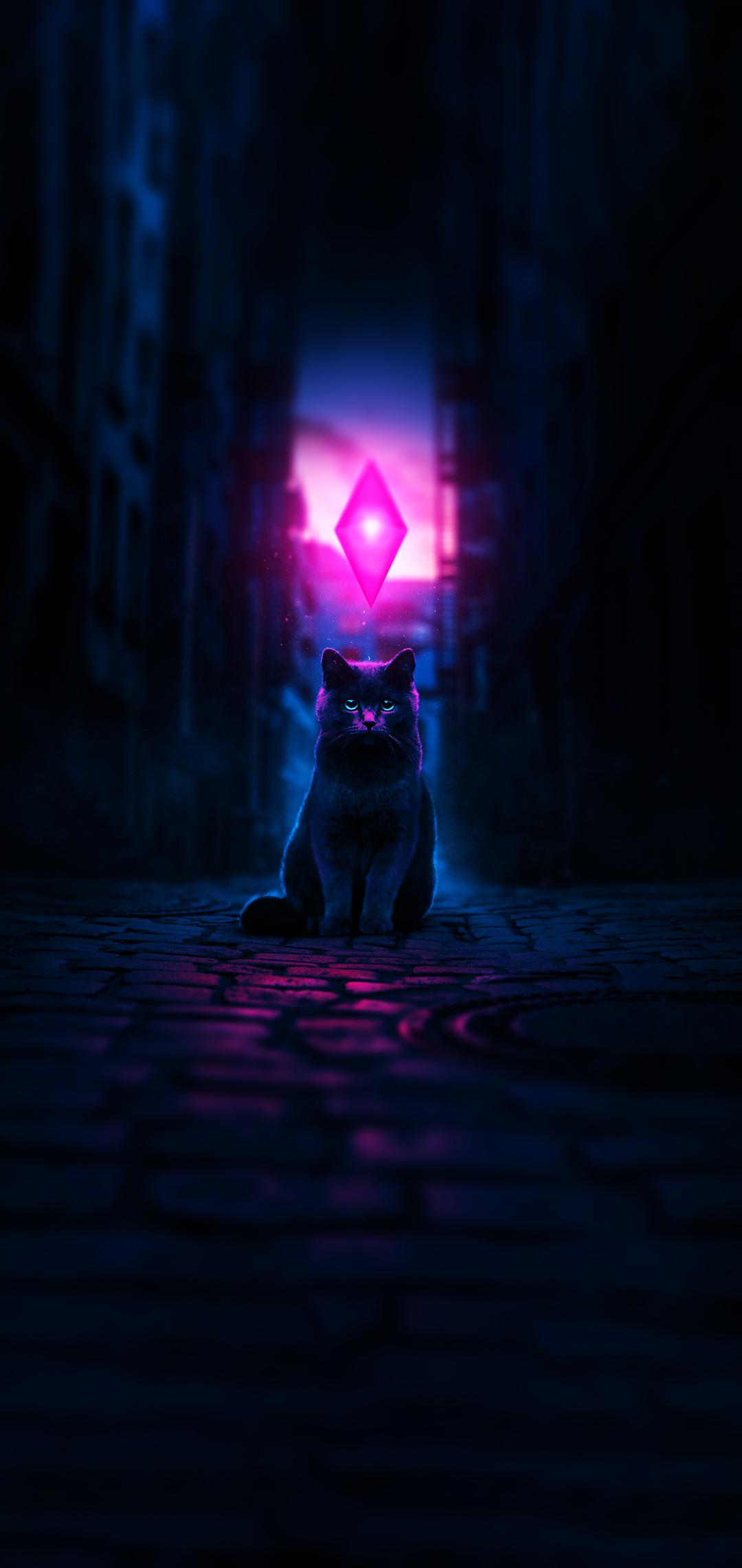 Cat Aesthetic Wallpapers  Wallpaper Cave