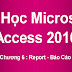 [ Access 2010 ] Chương 6 : Report - Báo Cáo