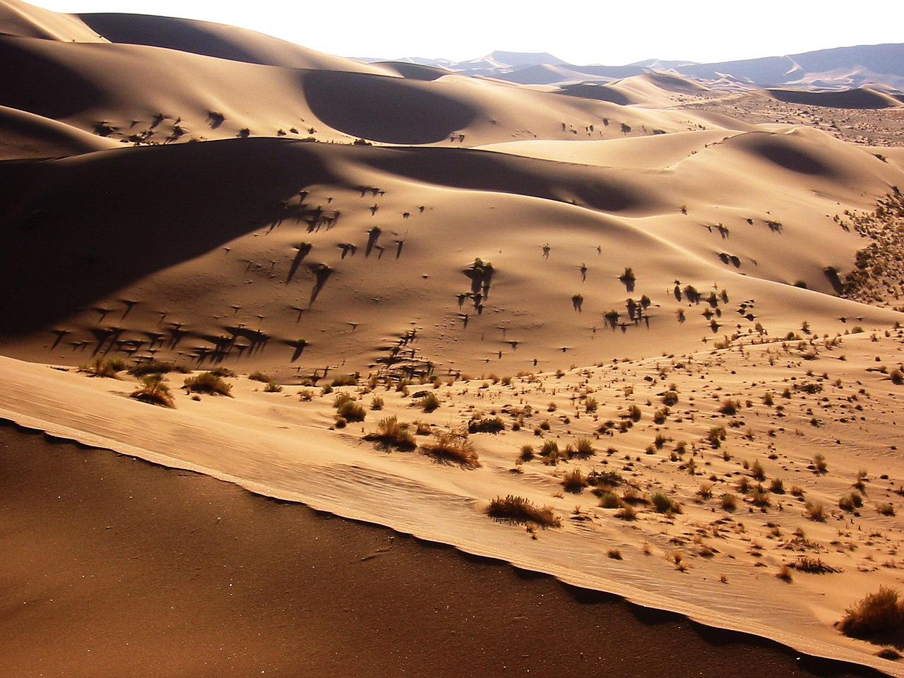 The Namib Desert, Namibia