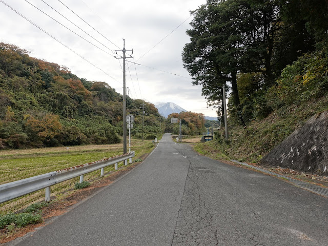 左手がつぼかめ山