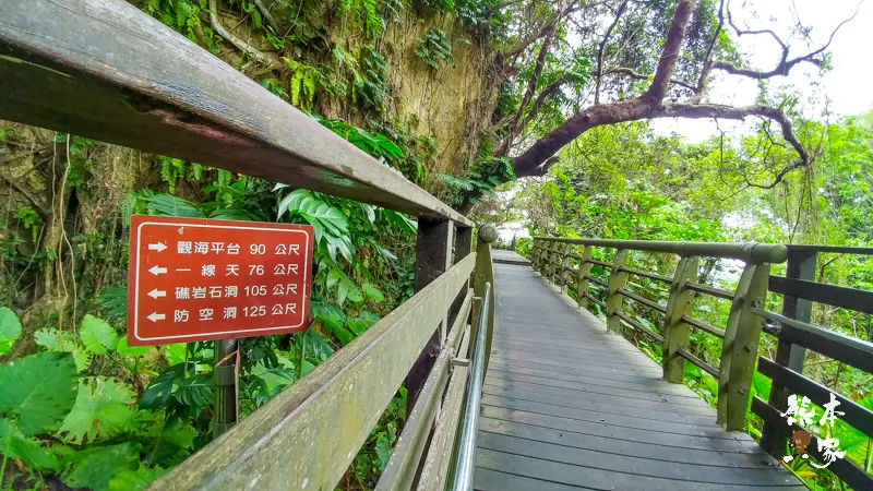 小琉球山豬溝生態步道-彷如阿凡達中身處潘朵拉星上的納美人禁地