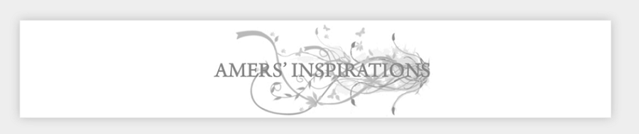 amers' inspirations