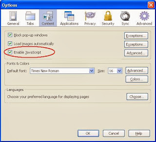 enable javascript mozilla firefox