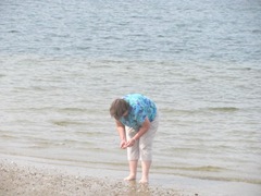 Cape Cod 2011 Elaine picking seashells 2