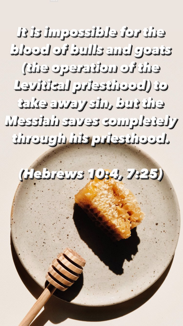 Key Differences Between the Melchizedek and Levitical Priesthoods | Land of Honey