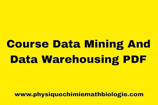 Course Data Mining And Data Warehousing PDF