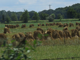 Amish hay stacks