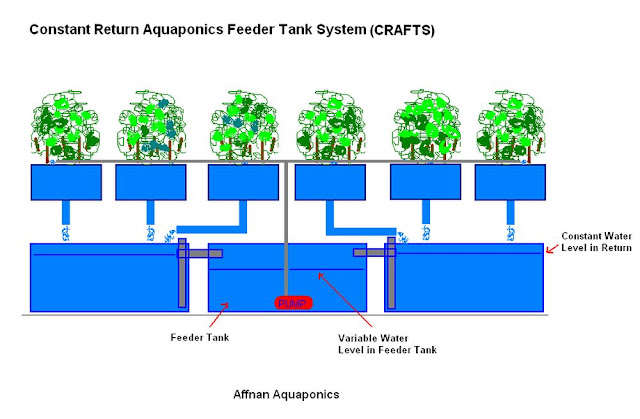  Aquaponics. The starting point is a single fish tank of about 100