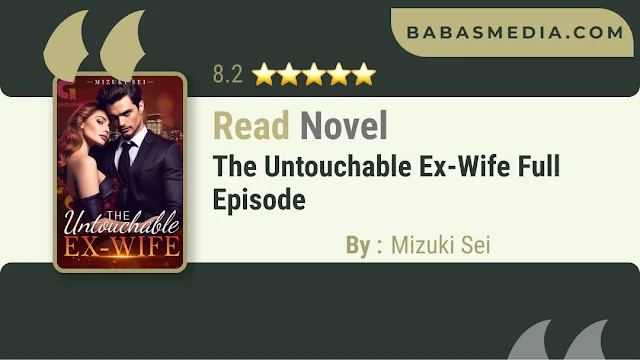Cover The Untouchable Ex-Wife Novel By Mizuki Sei