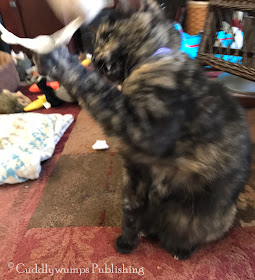 More blurry tortie action with Real Cat Paisley