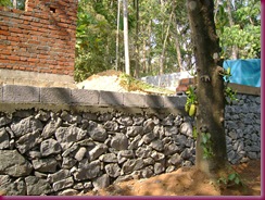 DSC03169