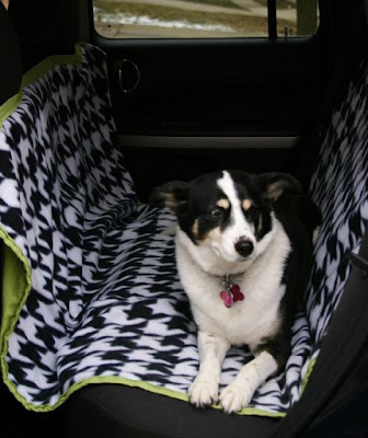 Top 7 Ways to Pet Proof Your Car