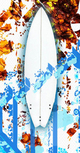 fish surfboard