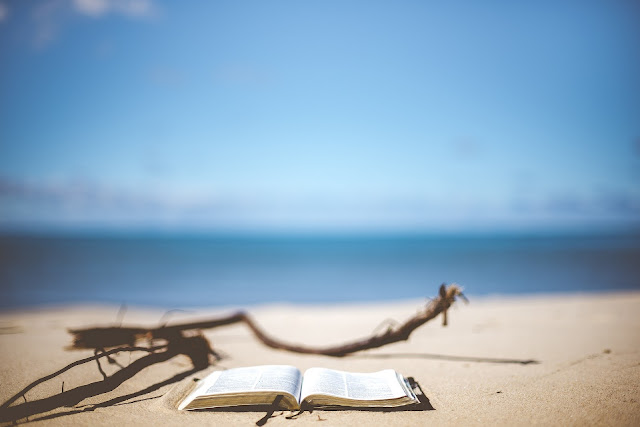 Książka leżąca na plaży. W tle morze.
