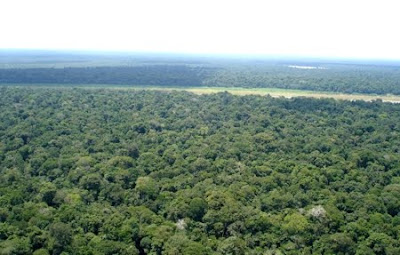 Floresta Nacional de Purus | Amazonas