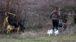 A, with her attendants, heading up to harvest willows