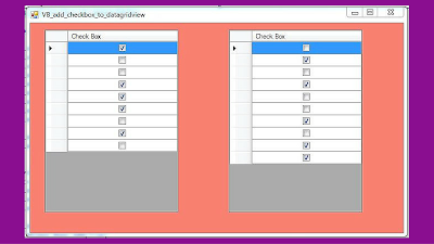 DataGridView CheckBox Column In VB.NET