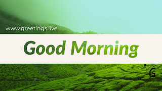 Good Morning wishes in green colour HAD image