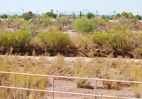 4. pantano wash-kab