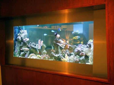 50 Beautiful fish aquarium designs - Kerala home design and floor ...