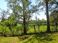 Parque Ecológico de Barueri