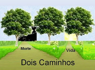 Resultado de imagem para dois caminhos