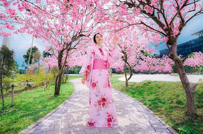 Rahasia Keindahan Taman Sakura Minimania Lembang Pesona Tak Terlupakan di Setiap Sudut