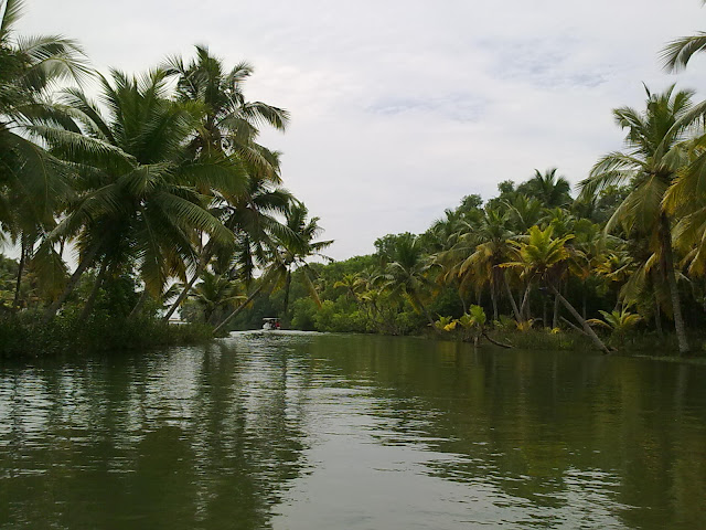 Boat ride in Poovar Backwaters 